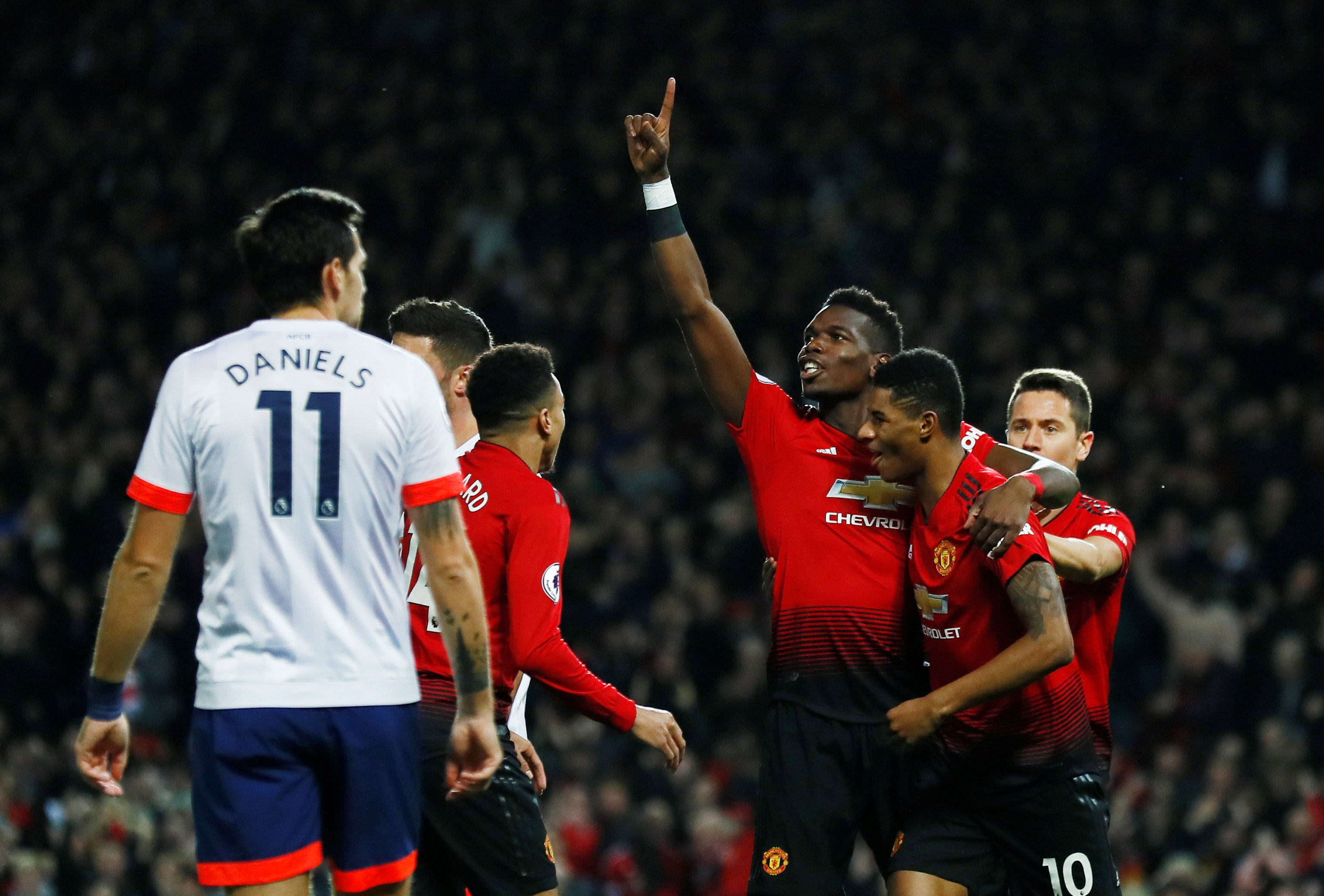 不仅引进了 不仅引进了